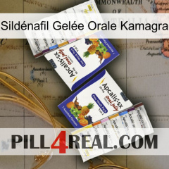 Sildénafil Gelée Orale Kamagra 12